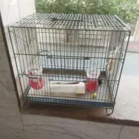 قفس سهره