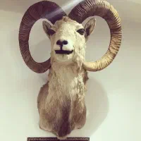 مجسمه زیبا و طبیعی