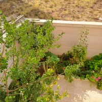 فروش زمین ۱۴۴متری (مجوز ساخت )