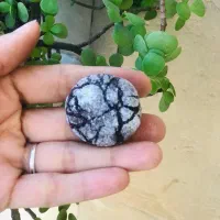 کوکی کرینکل،نیویورکی،لوتوس،دبل چاکلت،ردولوت