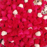 گل رز فومی