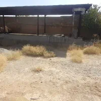 سبد ضایعاتی و کارتن موز نگهداری مشارکتی با آسیاب|عمدهفروشی|نجفآباد, قلعه سفید|دیوار