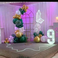 بادکنک آرایی مناسبت ها و اماکن