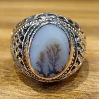 انگشتر عقیق شجر قائن منظره زیبا بدون مه رکاب یکتا