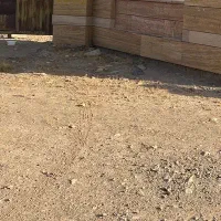 فروش-زمین-در-شهر-جدیدیا-معاوضه-با-وحد-در-هشتگرد