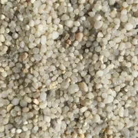 لوازم آکواریوم