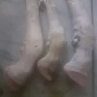 پاچه گوسفندی