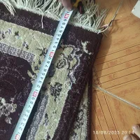 فرش پادری ۳ عدد|فرش|زنجان, |دیوار