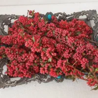 زرشک تازه|عمدهفروشی|قائن, |دیوار