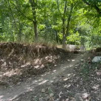 ۱۰۰۰ متر باغ گردو سرکان