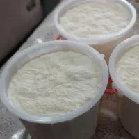 ماست گوسفندی