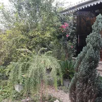 فروش خانه ویلایی در محوطه ۵۳۶ متری|فروش خانه و ویلا|کلاچای, |دیوار