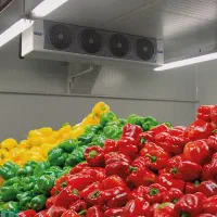 ۲۳۲۳سردخانه۲۳۲۳ با ساندویچ پانل ۱۰سانتی