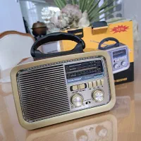 رادیو اسپیکر دار فلش خور