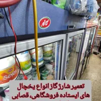 تعمیر شارژگاز یخچال ویترینی ایستاده درمحل (تضمینی)|خدمات پیشه و مهارت|تبریز, |دیوار