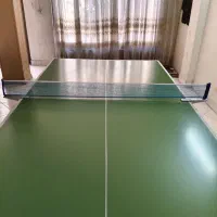 میز پینگ پنگ