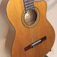 گیتار Prudencio Saez مدل 50 Cutaway|گیتار، بیس، امپلیفایر|رشت, گلسار|دیوار