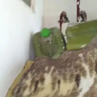 دبه ۲۰ لیتری خارجی