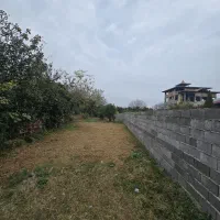 زمین-455متری