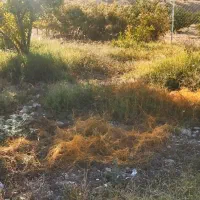 لوله کشی قطره ای باغ و زمین کشاورزی