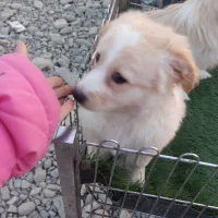 تماس بگیرید