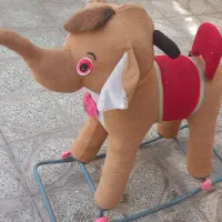 فیل کاملا سالم ۵۰۰