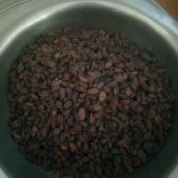 کشمش آفتابی