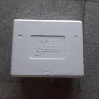 یخدان خارجی