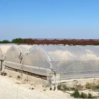 3800 متر سازه گلخانه با پلاستیک و تجهیزات|عمده‌فروشی|شهریار, بکه|دیوار