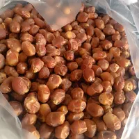 خرمای زاهدی (قصب)