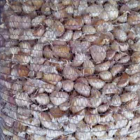 سیر|عمده‌فروشی|پارس‌آباد, |دیوار