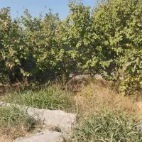 1500-متر-باغ-آباد-شهریار-بکه