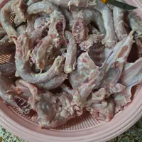 اسکلت و گردن تازه زیر قیمت|خوردنی و آشامیدنی|مسجد سلیمان, |دیوار