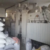 کارگر ساده در آسیاب