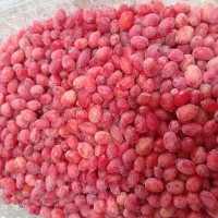 زرشک خیس پنج شنبه در قم|خوردنی و آشامیدنی|قم, باغ شریفی|دیوار