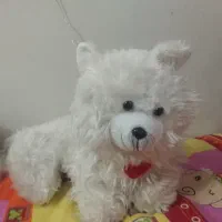 عروسک گربه