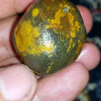 مهره سلطانی مشکی چشم زرد اتیشی ملاگط کهنه