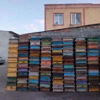 طبق زنبور عسل تمیز مربع