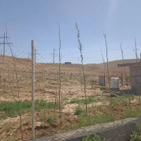 فروش دامداری|فروش دفتر صنعتی، کشاورزی، تجاری|میانه, |دیوار