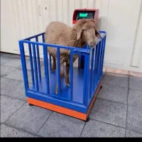 انواع باسکول دامکش قفس دار ترازو عتیقه