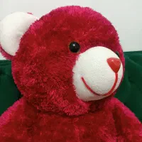 خرس|اسباب‌بازی بچه|دزفول, |دیوار
