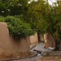باغ/حاشیه سنتو/مسیر برگشت/استثنایی