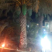 فروش خونه باغ لاور رزمی خورموج|فروش خانه و ویلا|خورموج, |دیوار