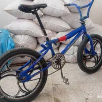 دوچرخه 20 حرفه ای