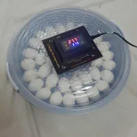 دستگاه کوچک جوجه کشی