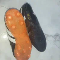 کفش استوک دار چمن|کیف، کفش، کمربند|زرندیه, |دیوار