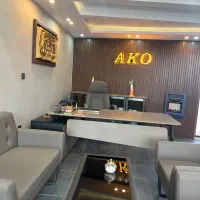 ابدارچی خانم