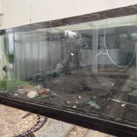 آکواریوم|ماهی|خرمآباد, |دیوار