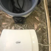 پلو پز ساندویچ ساز|اجاق گاز و لوازم برقی پختوپز|یزد, |دیوار