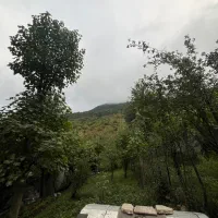 فروش زمین ۳۶۵ متر|فروش زمین و ملک کلنگی|توتکابن, |دیوار